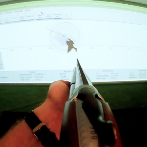 Shooting in the simulator