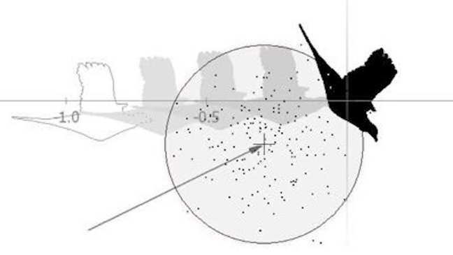 Screenshot 2019-09-05 at 12.06.06 Read out of shot